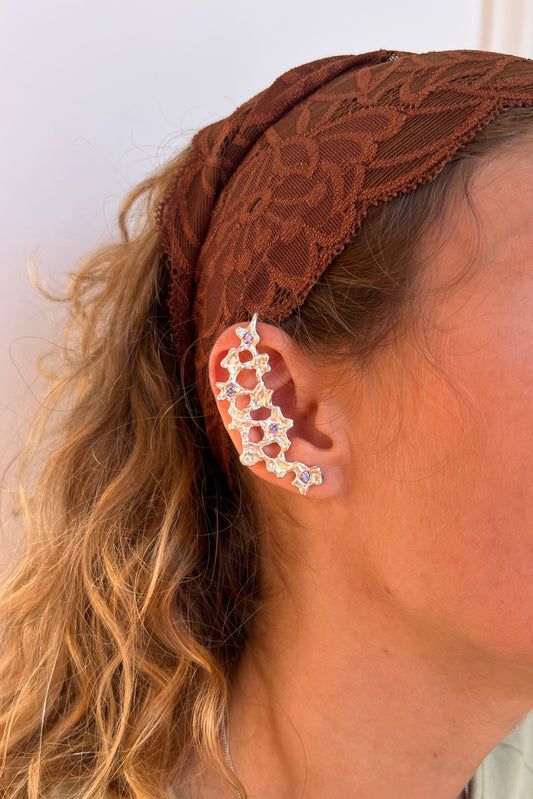 Bijoux d'oreille.